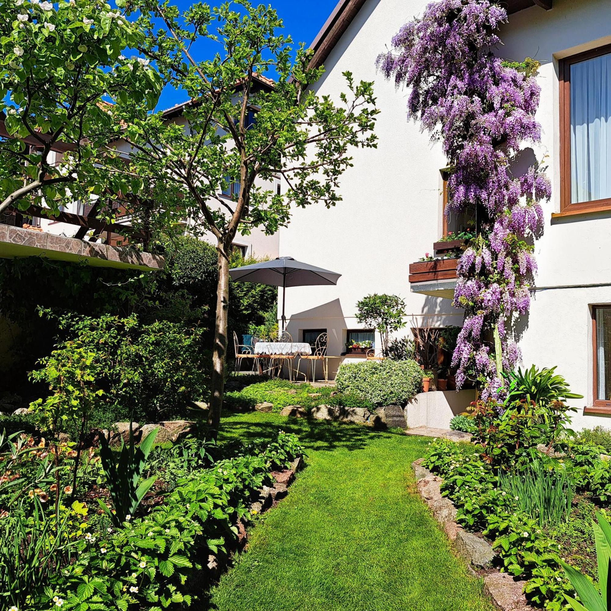 Anka Villa Wladyslawowo Exterior photo